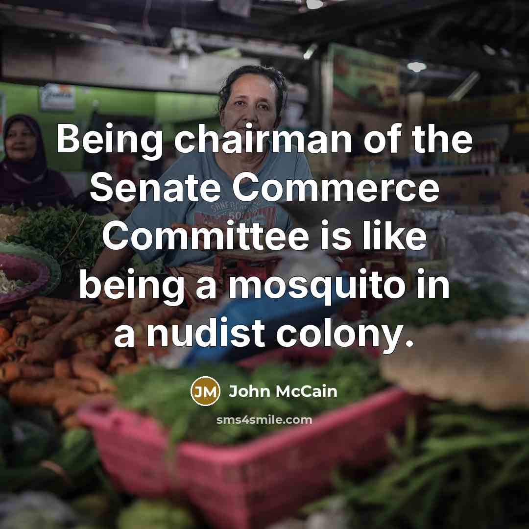 “Being chairman of the Senate Commerce Committee is like being…” quote by John McCain