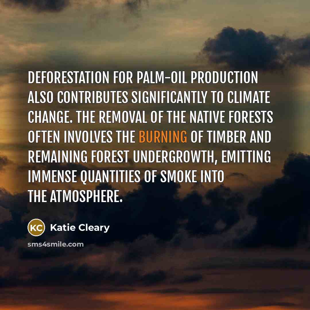 “Deforestation for palm-oil production also contributes significantly to climate change.…” quote by Katie Cleary