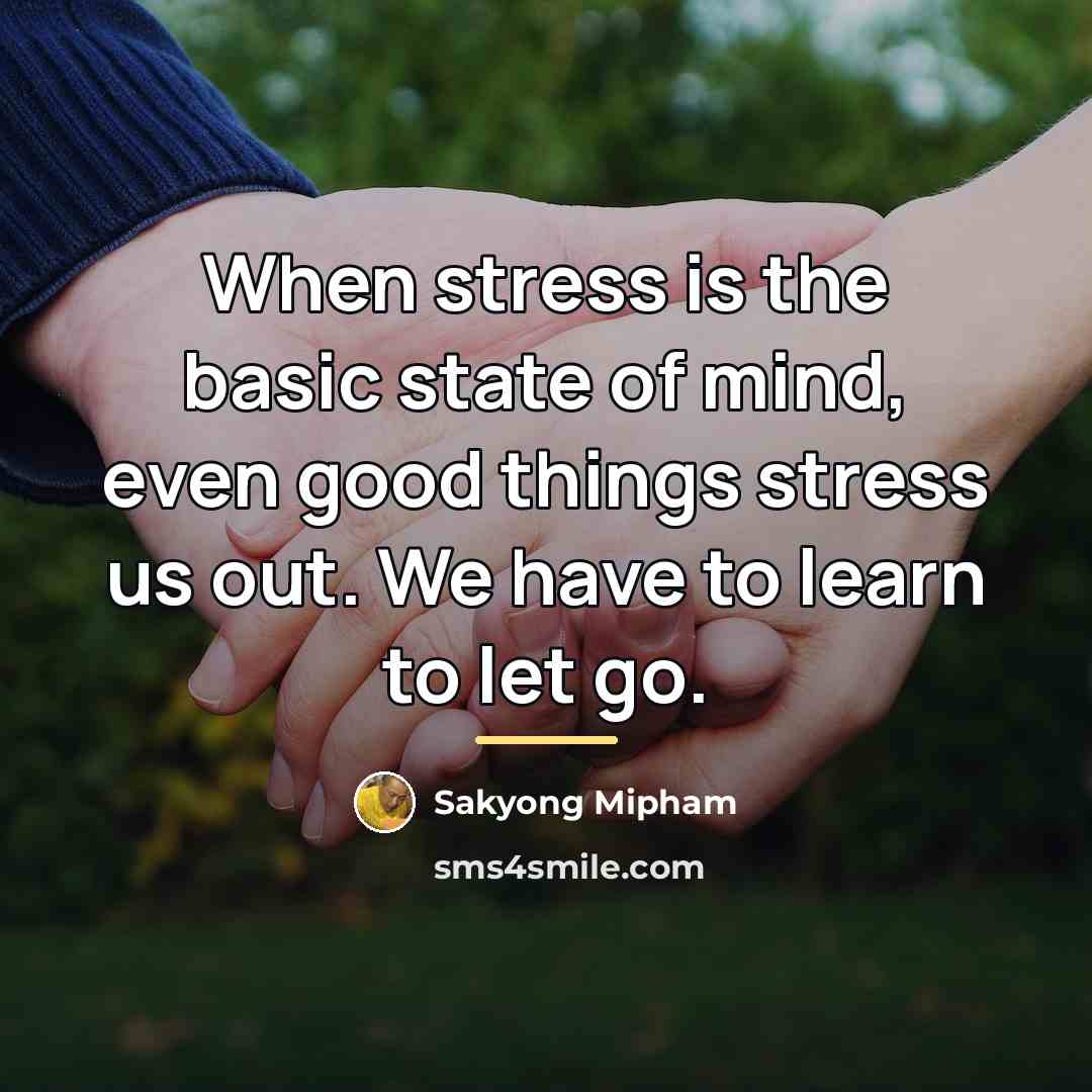 “When stress is the basic state of mind, even good…” quote by Sakyong Mipham
