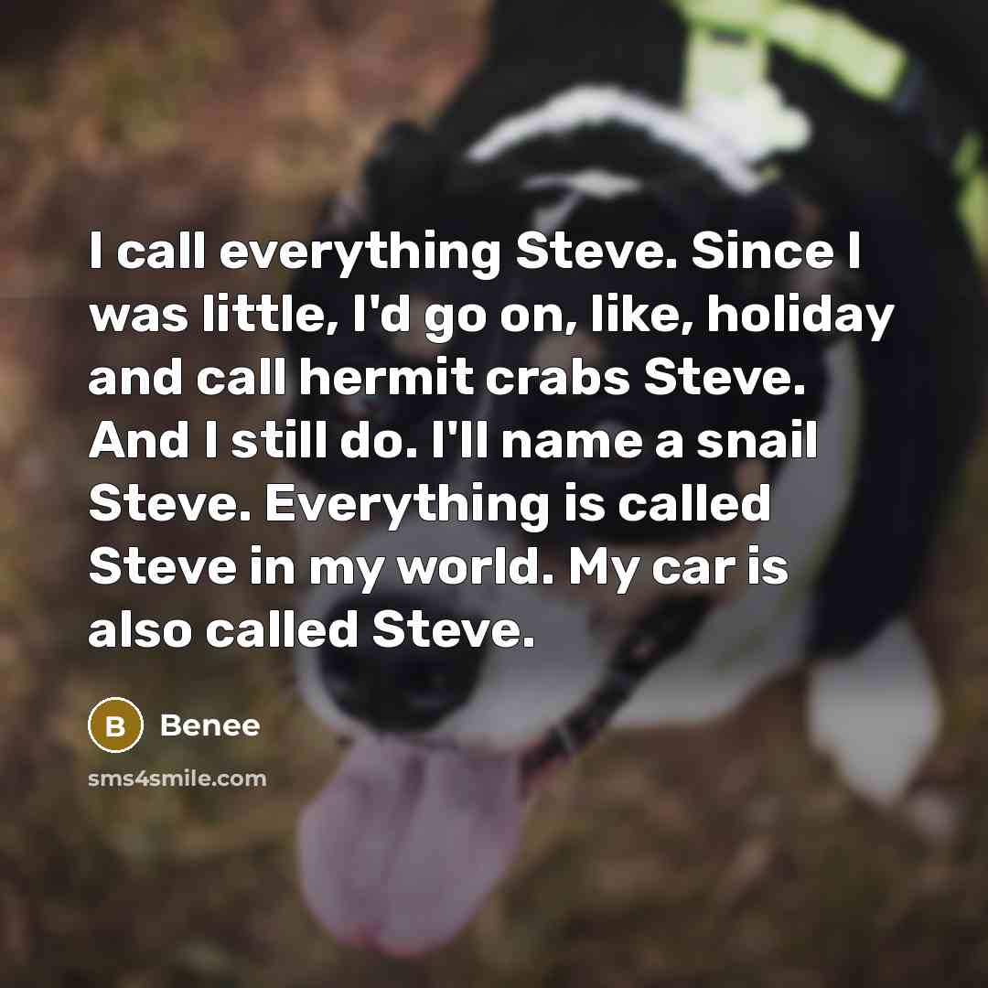 “I call everything Steve. Since I was little, I'd go…” quote by Benee