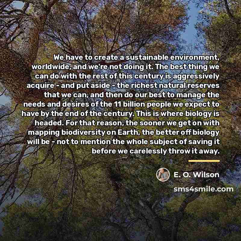 “We have to create a sustainable environment, worldwide, and we're…” quote by E. O. Wilson