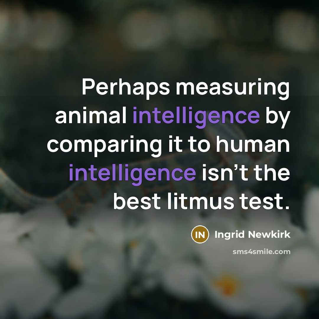 “Perhaps measuring animal intelligence by comparing it to human intelligence…” quote by Ingrid Newkirk