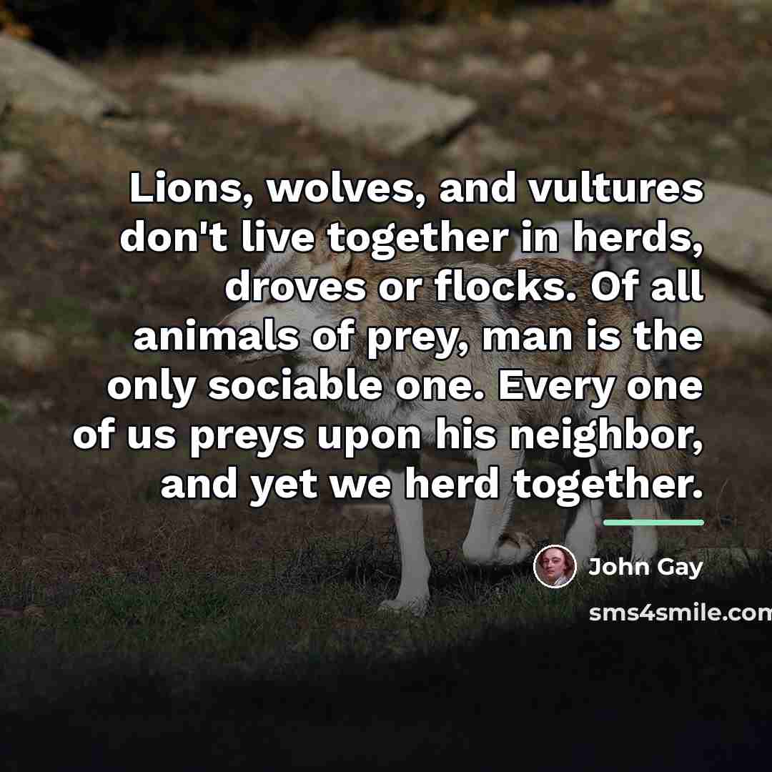 “Lions, wolves, and vultures don't live together in herds, droves…” quote by John Gay
