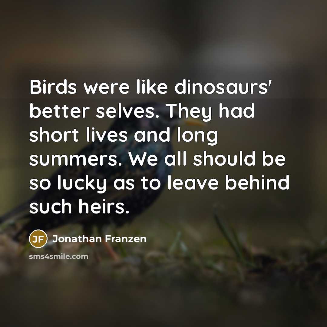 “Birds were like dinosaurs' better selves. They had short lives…” quote by Jonathan Franzen