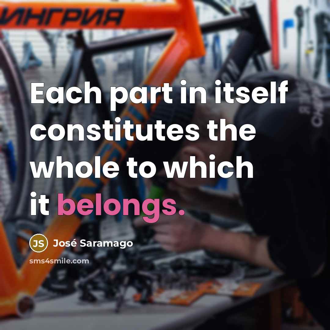 “Each part in itself constitutes the whole to which it belongs.” quote by Jose Saramago