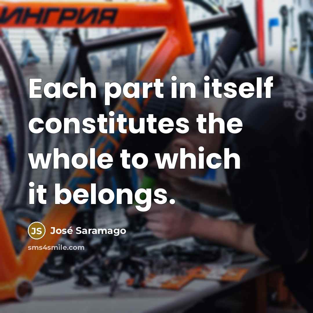 “Each part in itself constitutes the whole to which it…” quote by Jose Saramago