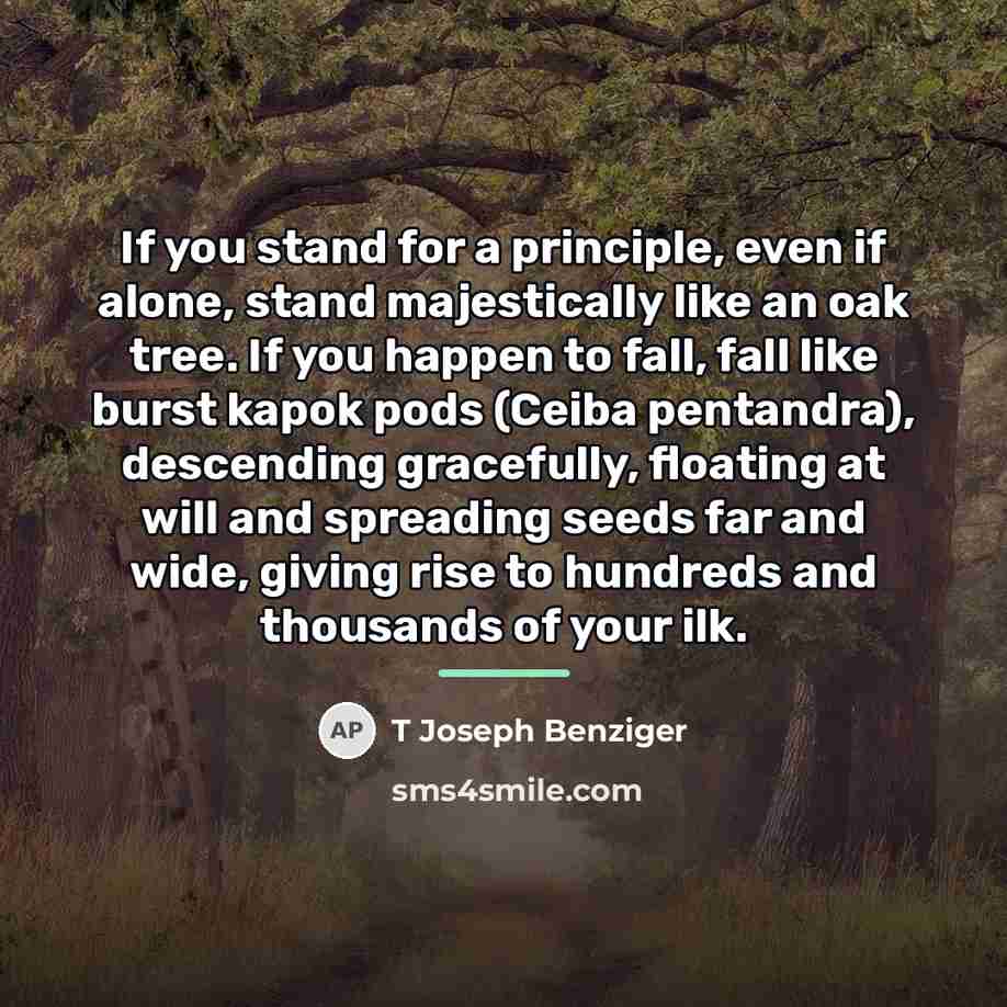 “If you stand for a principle, even if alone, stand…” quote by T Joseph Benziger