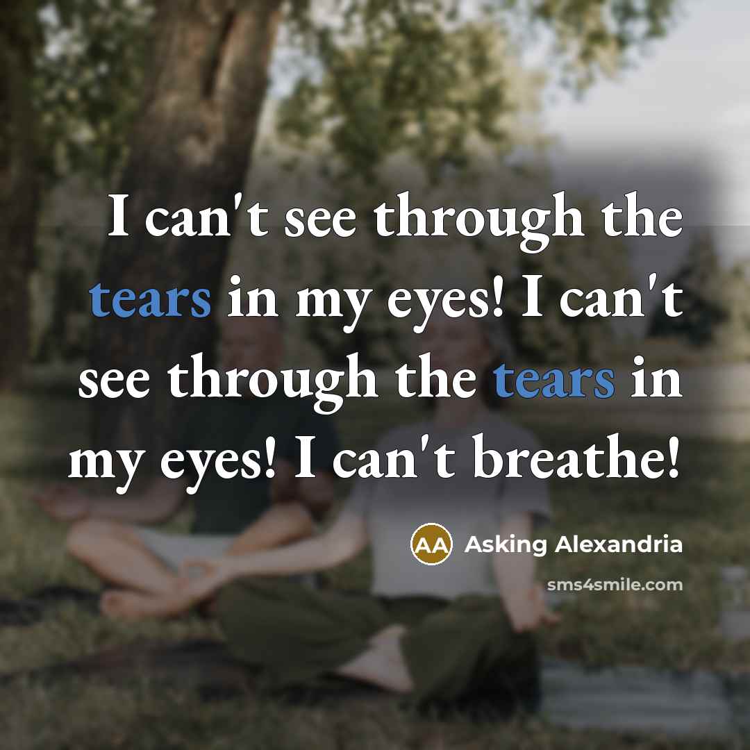 “I can't see through the tears in my eyes! I can't see through the tears in my eyes! I can't breathe!” quote by Asking Alexandria