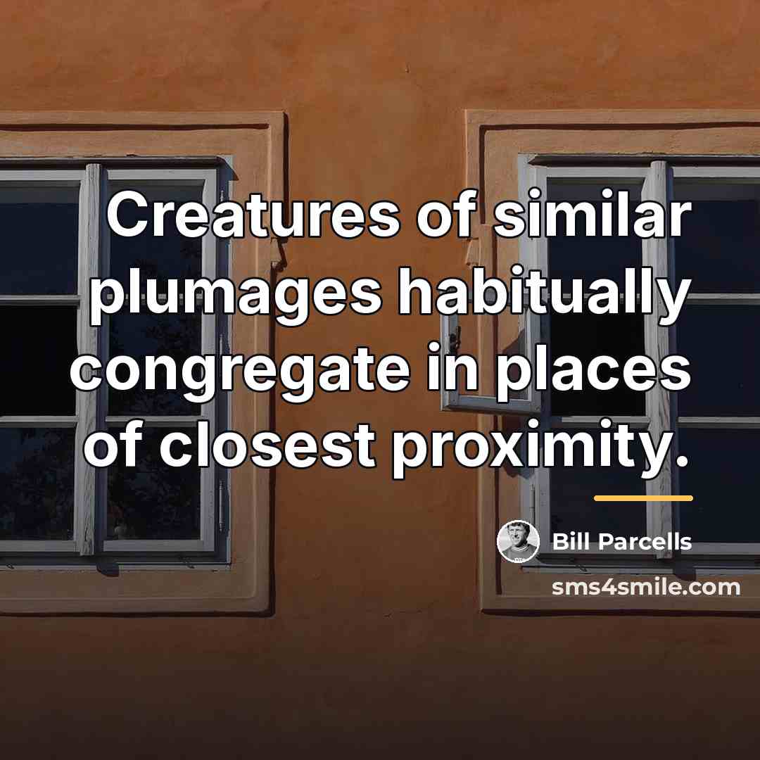 “Creatures of similar plumages habitually congregate in places of closest…” quote by Bill Parcells