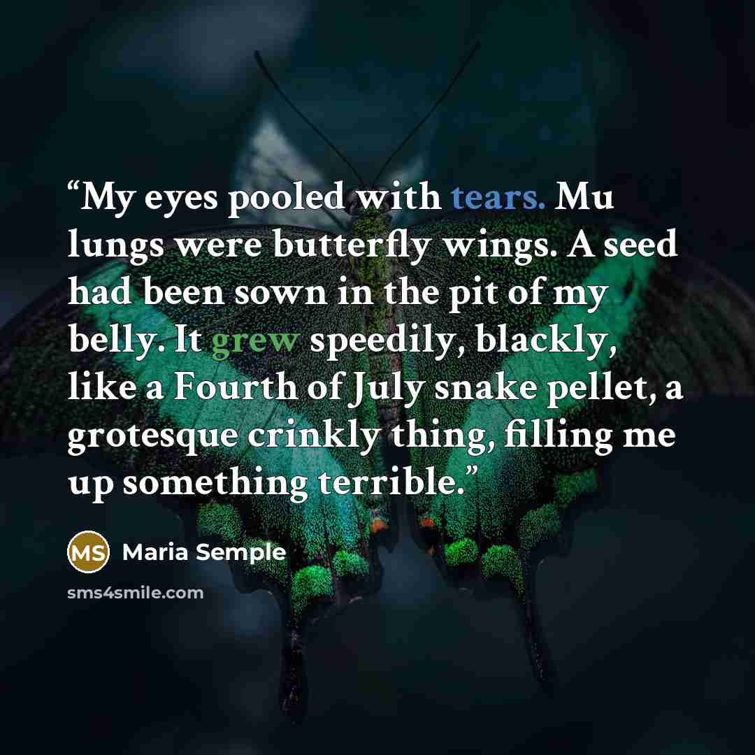 “My eyes pooled with tears. Mu lungs were butterfly wings. A seed had been sown in the pit of my belly. It grew speedily, blackly, like a Fourth of July snake pellet, a grotesque crinkly thing, filling me up something terrible.” quote by Maria Semple