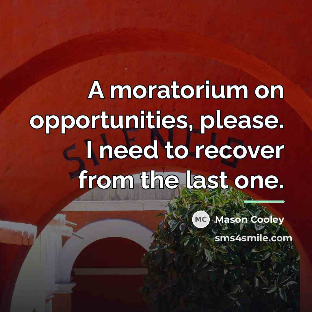 “A moratorium on opportunities, please. I need to recover from…” quote by Mason Cooley