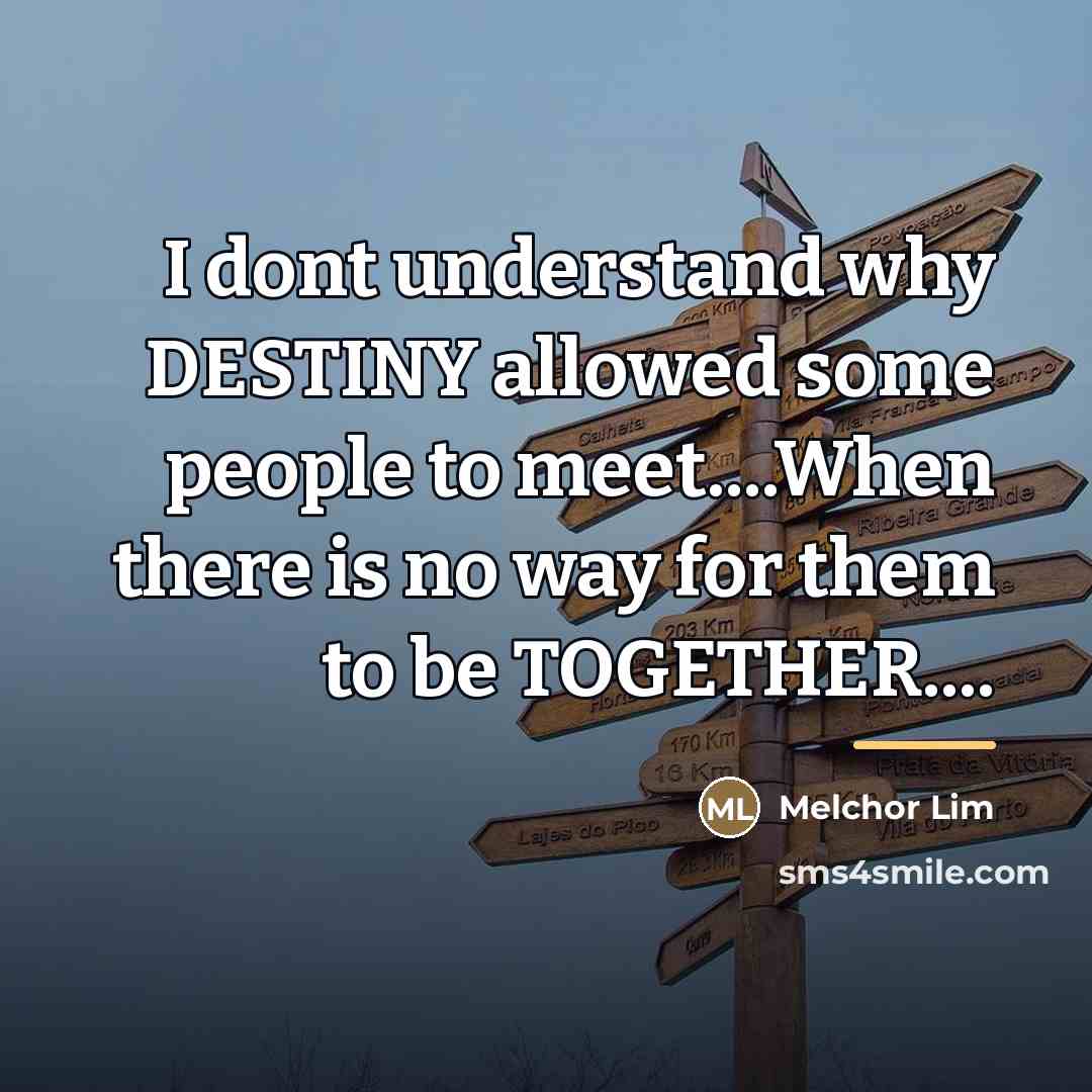 “I dont understand why DESTINY allowed some people to meet....When…” quote by Melchor Lim