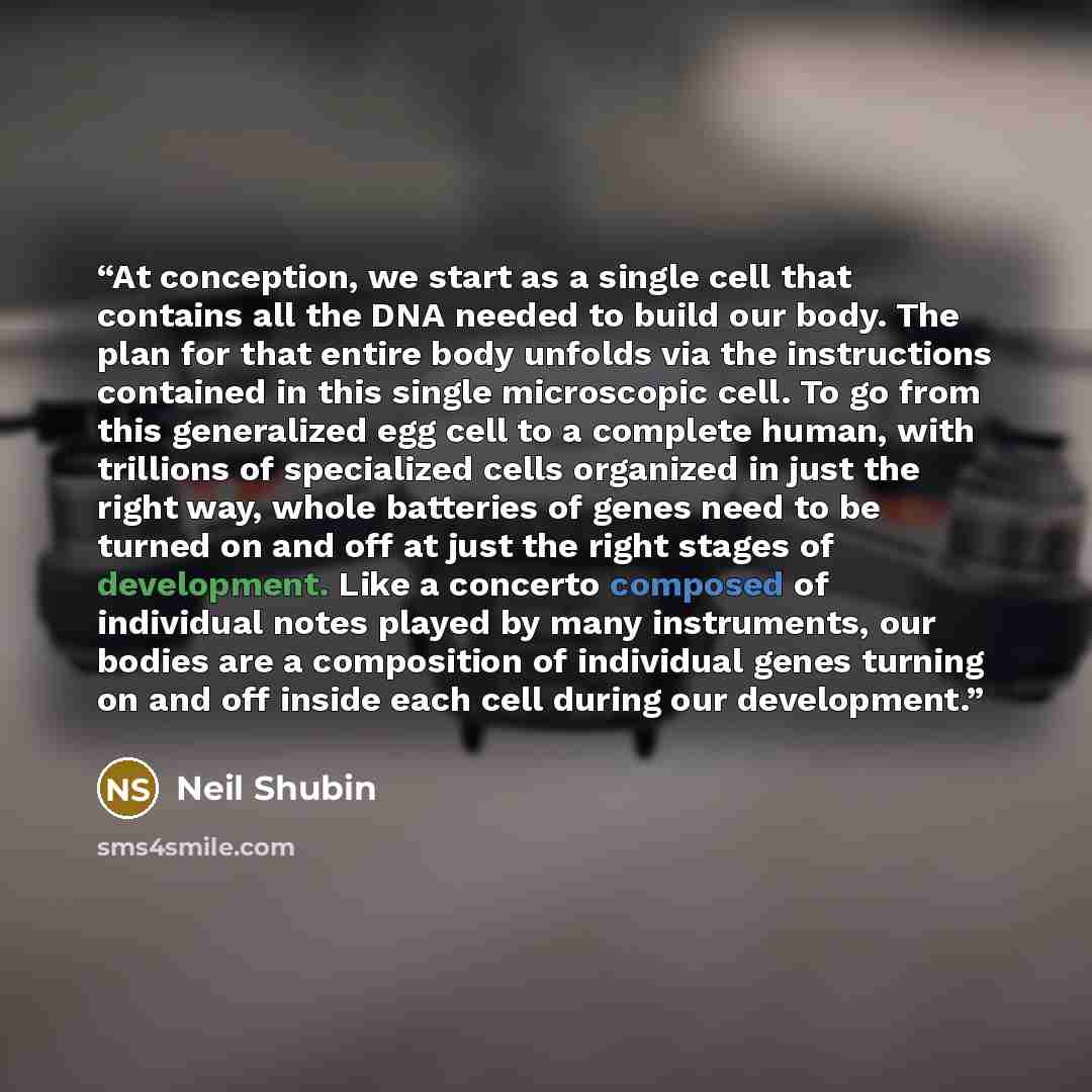 “At conception, we start as a single cell that contains all the DNA needed to build our body. The plan for that entire body unfolds via the instructions contained in this single microscopic cell. To go from this generalized egg cell to a complete human, with trillions of specialized cells organized…” quote by Neil Shubin