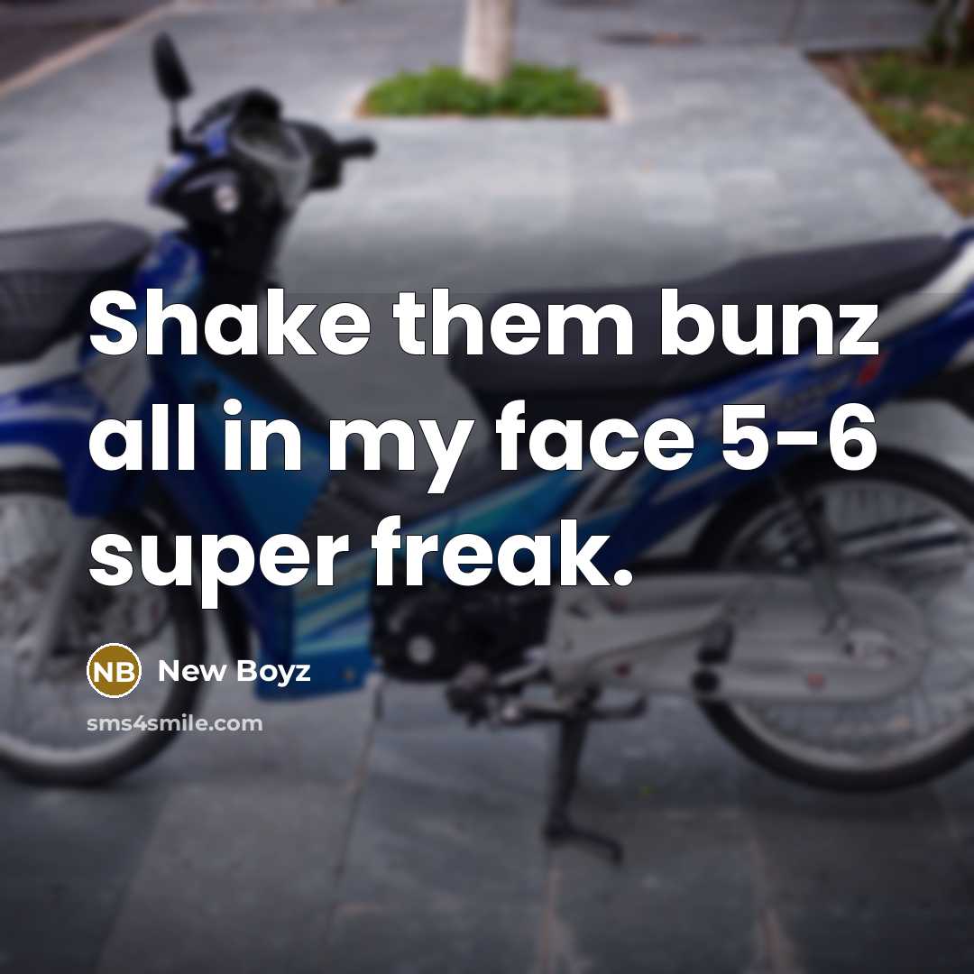 “Shake them bunz all in my face 5-6 super freak.…” quote by New Boyz