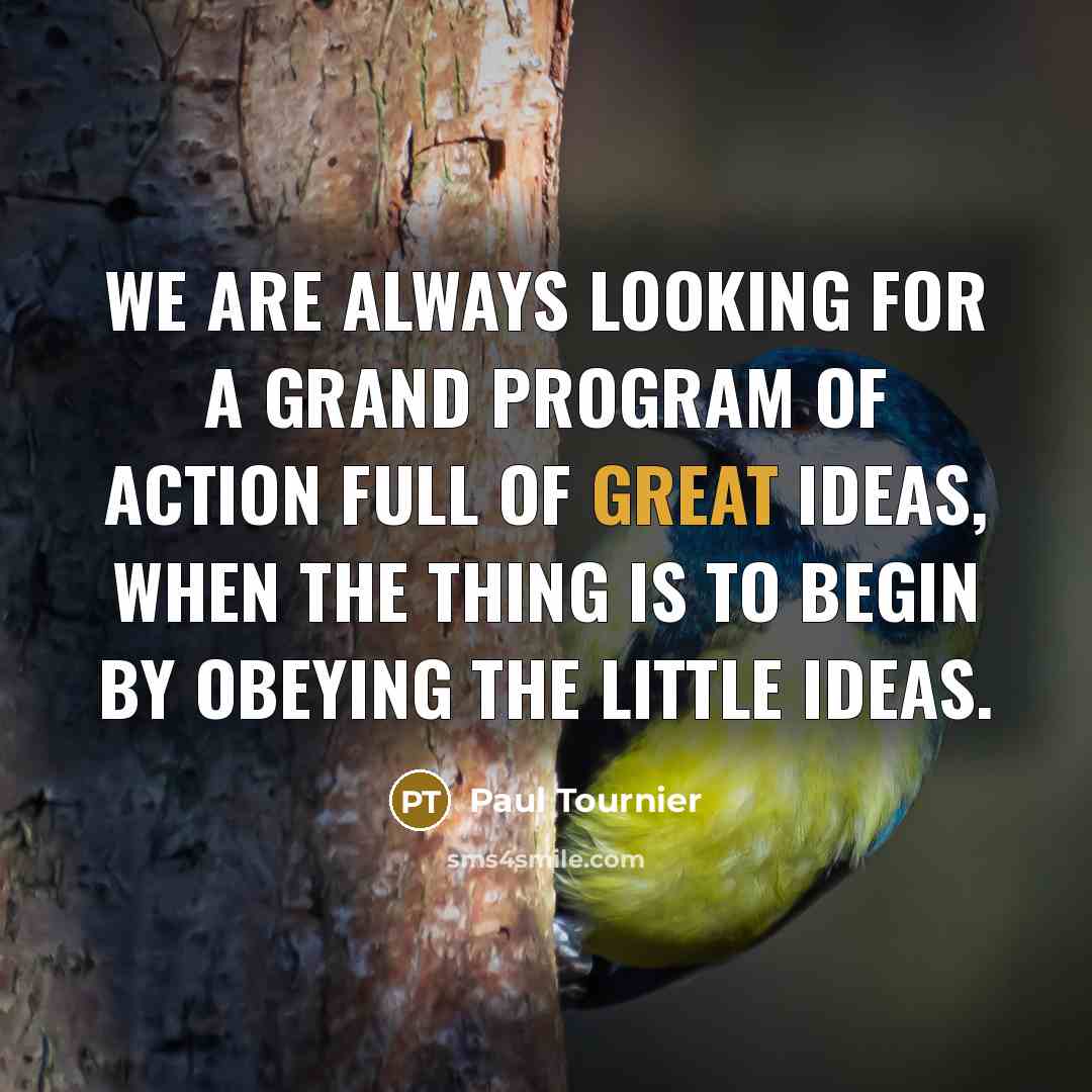 “We are always looking for a grand program of action…” quote by Paul Tournier