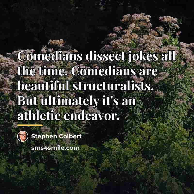 “Comedians dissect jokes all the time. Comedians are beautiful structuralists.…” quote by Stephen Colbert