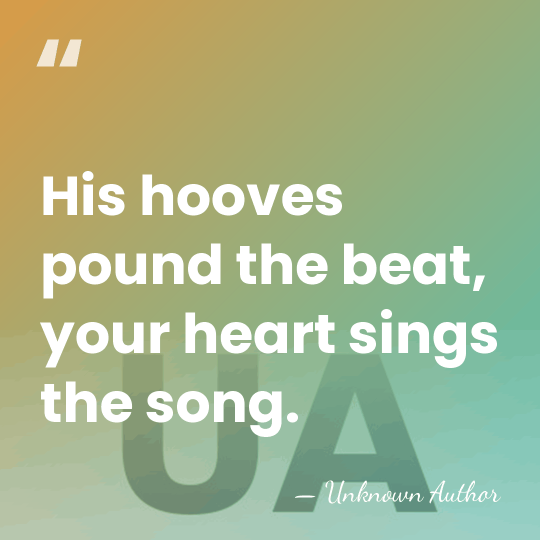 His hooves pound the beat, your heart sings the song. - Jerry Shulman