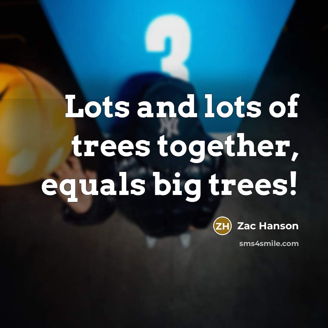 “Lots and lots of trees together, equals big trees!…” quote by Zac Hanson