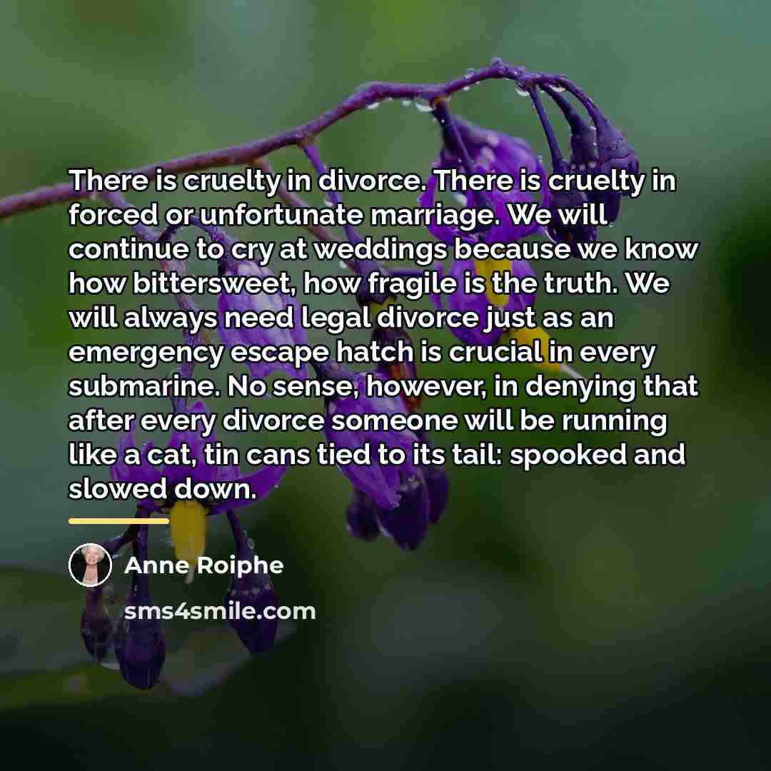 “There is cruelty in divorce. There is cruelty in forced…” quote by Anne Roiphe