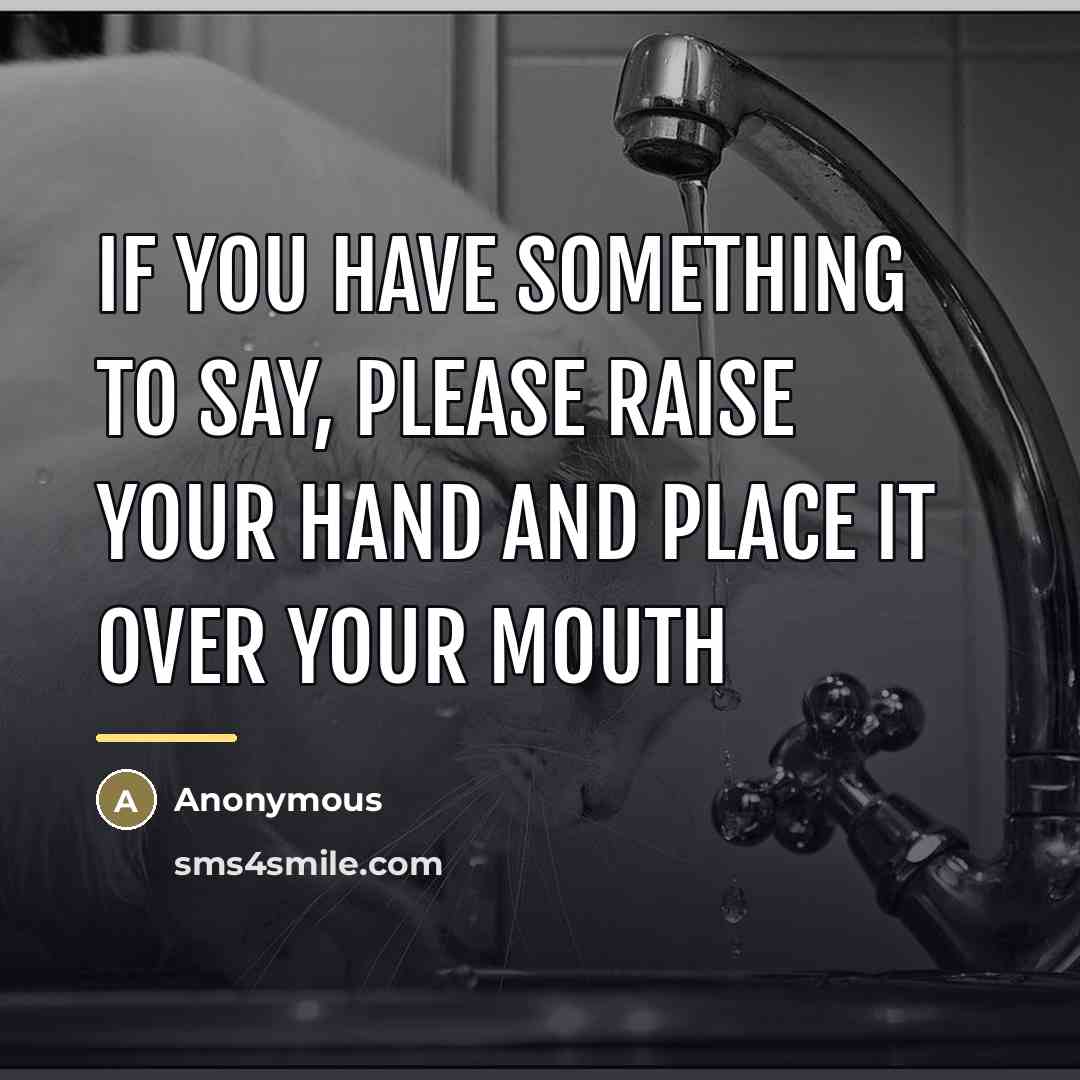 “If you have something to say, please raise your hand…” quote by Anonymous