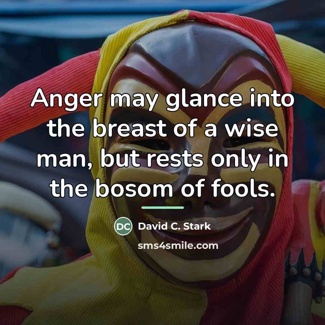 “Anger may glance into the breast of a wise man,…” quote by David C. Stark