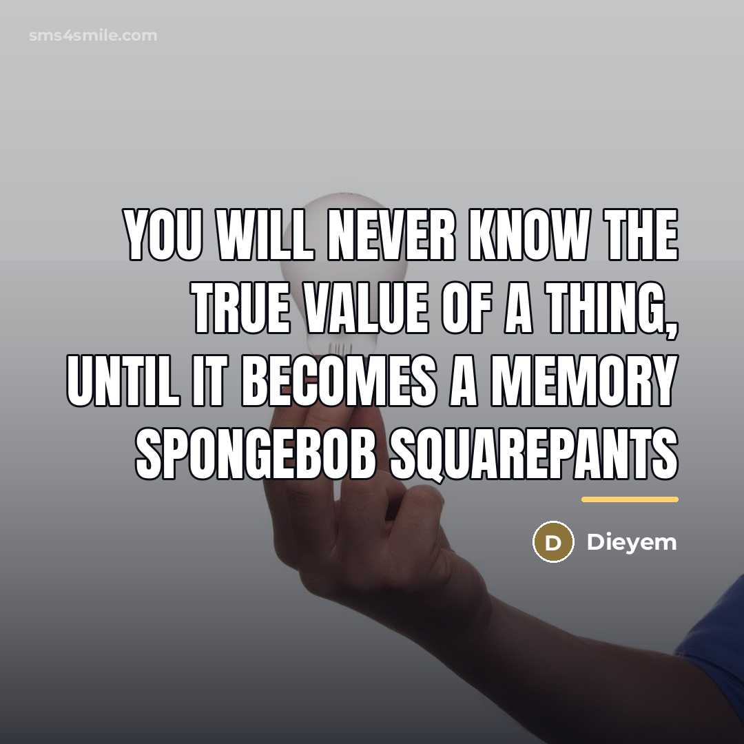 “You will never know the true value of a thing,…” quote by Dieyem