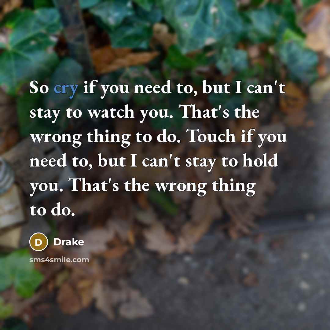 “So cry if you need to, but I can't stay…” quote by Drake
