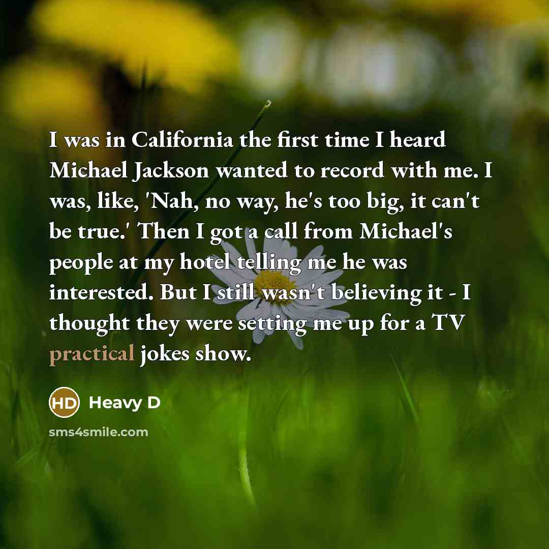 “I was in California the first time I heard Michael…” quote by Heavy D