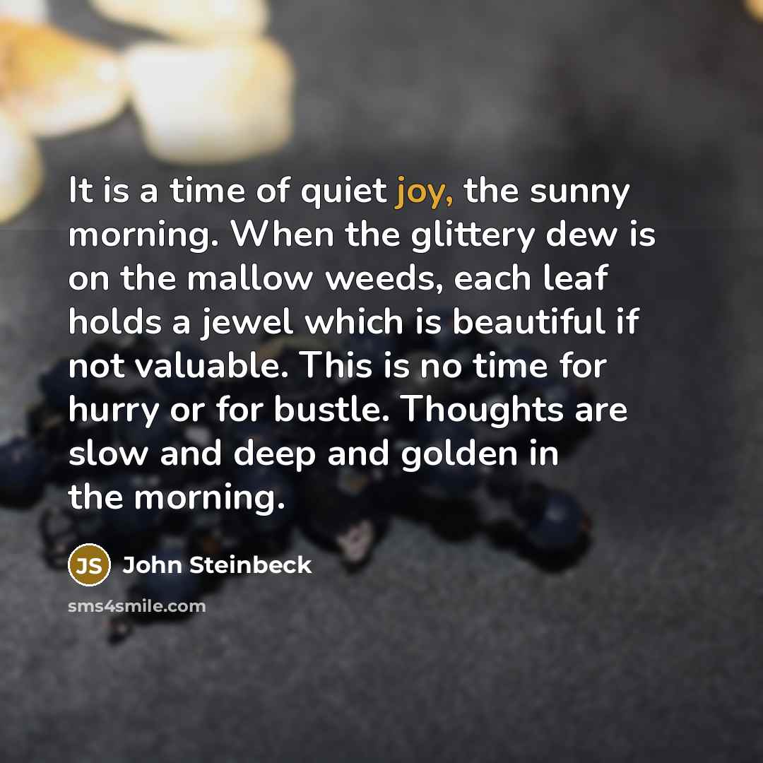 “It is a time of quiet joy, the sunny morning.…” quote by John Steinbeck