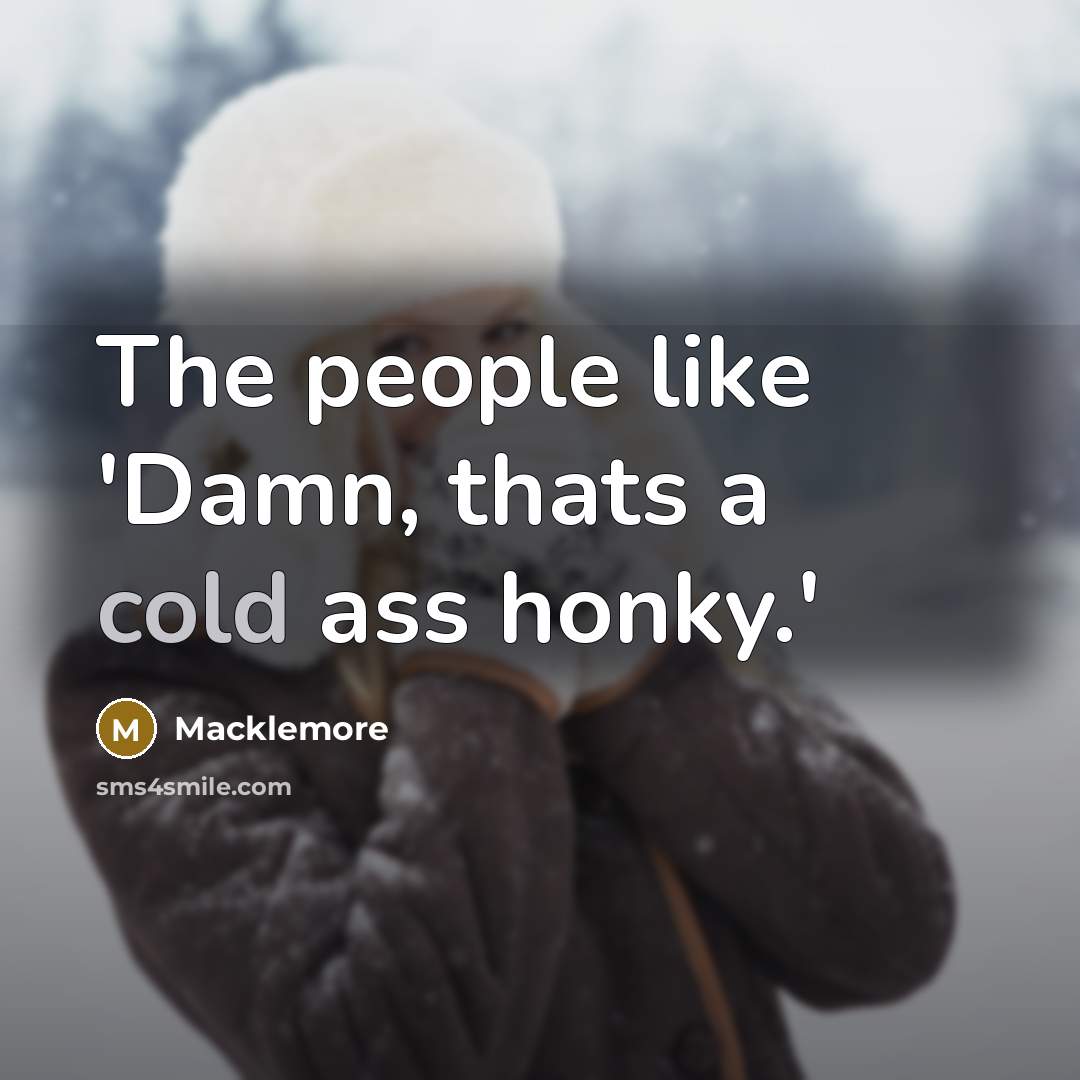 “The people like 'Damn, thats a cold ass honky.'” quote by Macklemore