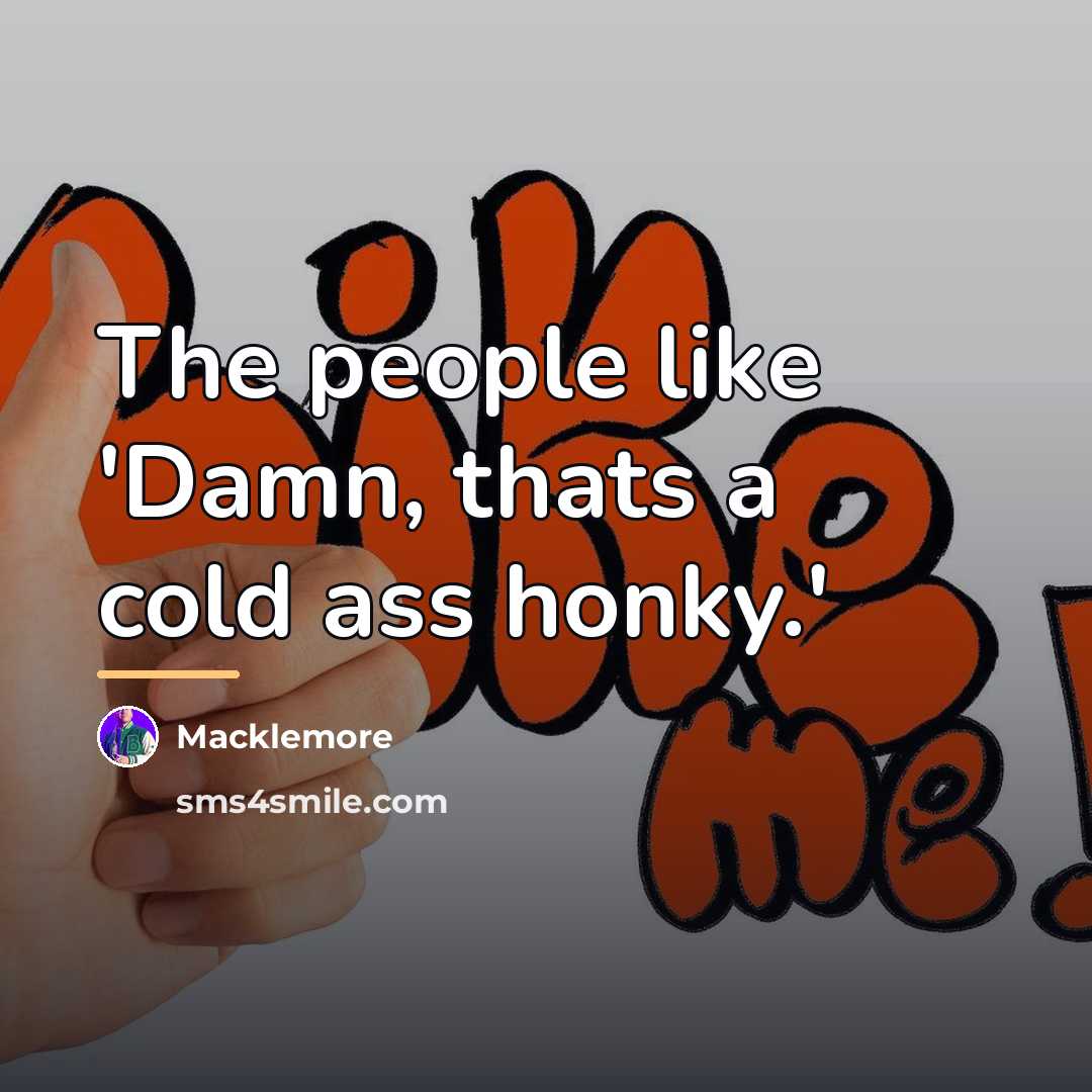 “The people like 'Damn, thats a cold ass honky.'…” quote by Macklemore