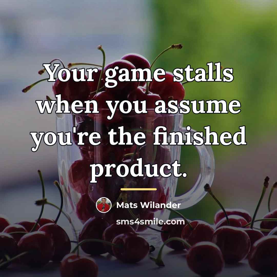 “Your game stalls when you assume you're the finished product.…” quote by Mats Wilander