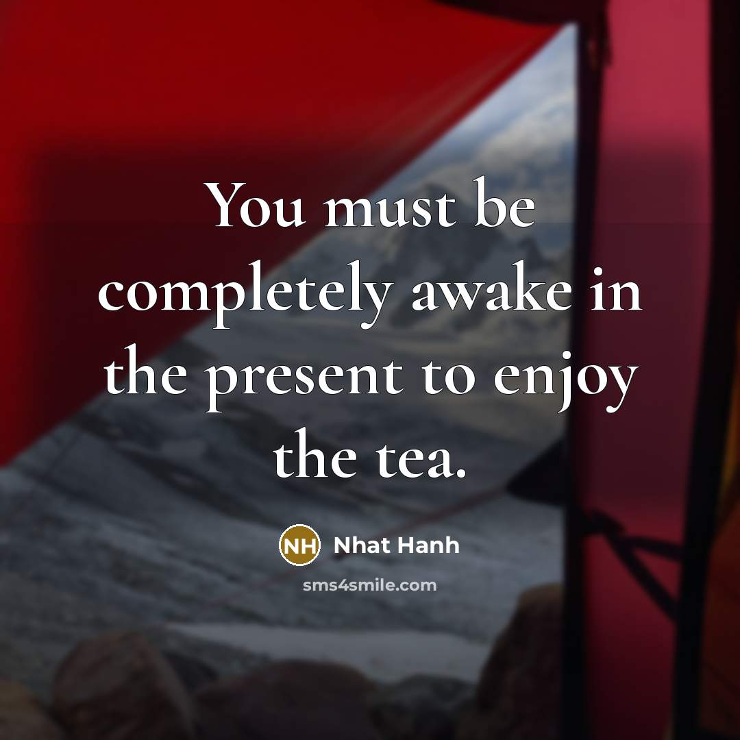 “You must be completely awake in the present to enjoy…” quote by Nhat Hanh