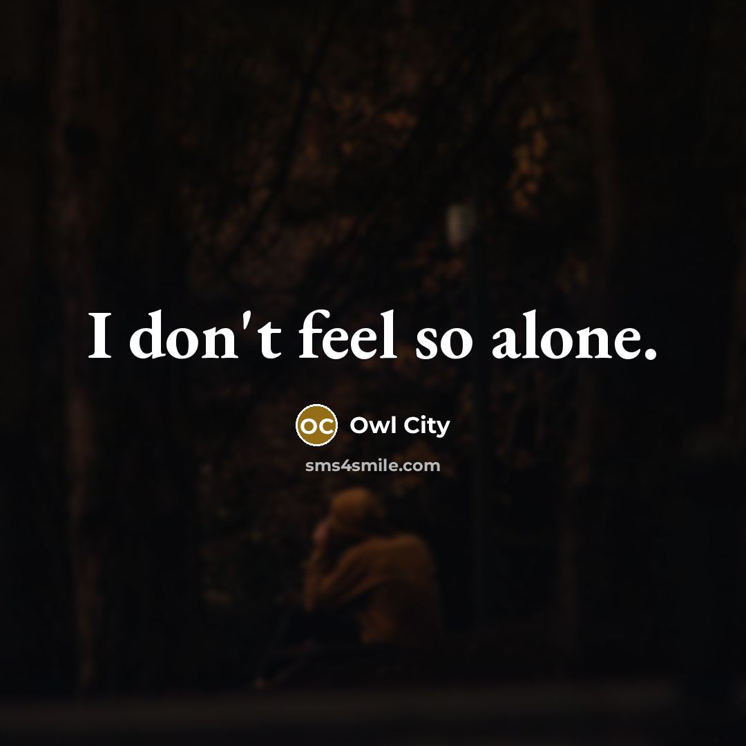 “I don't feel so alone.…” quote by Owl City