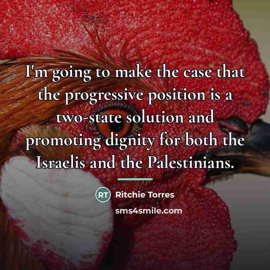 “I'm going to make the case that the progressive position…” quote by Ritchie Torres