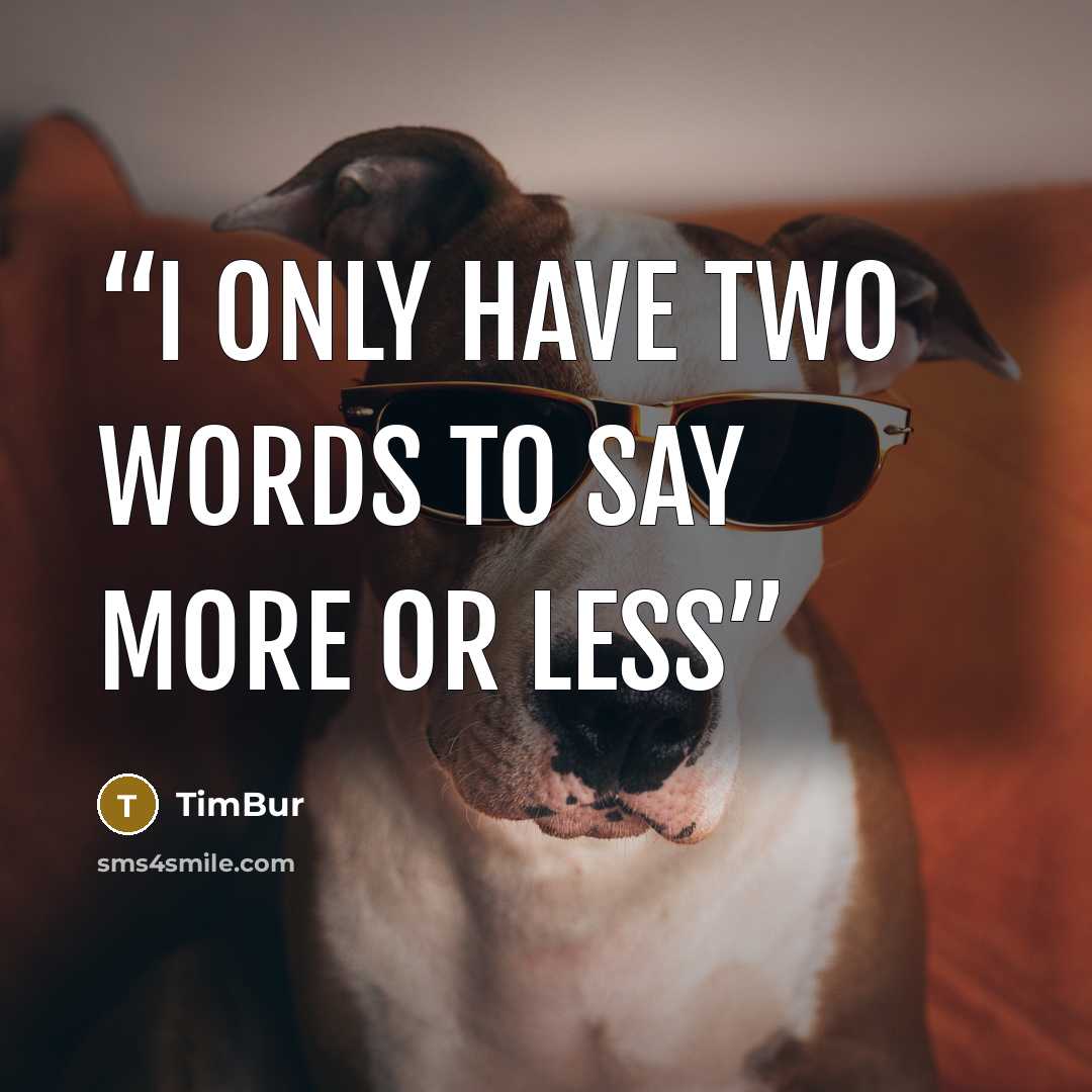“I only have two words to say More or Less” quote by TimBur