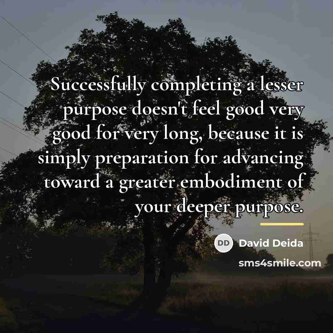 “Successfully completing a lesser purpose doesn't feel good very good…” quote by David Deida