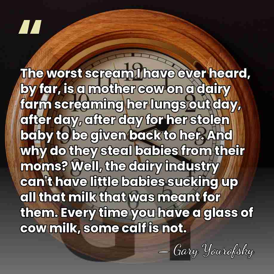 The worst scream I have ever heard, by far, is a mother&hellip; - Gary Yourofsky