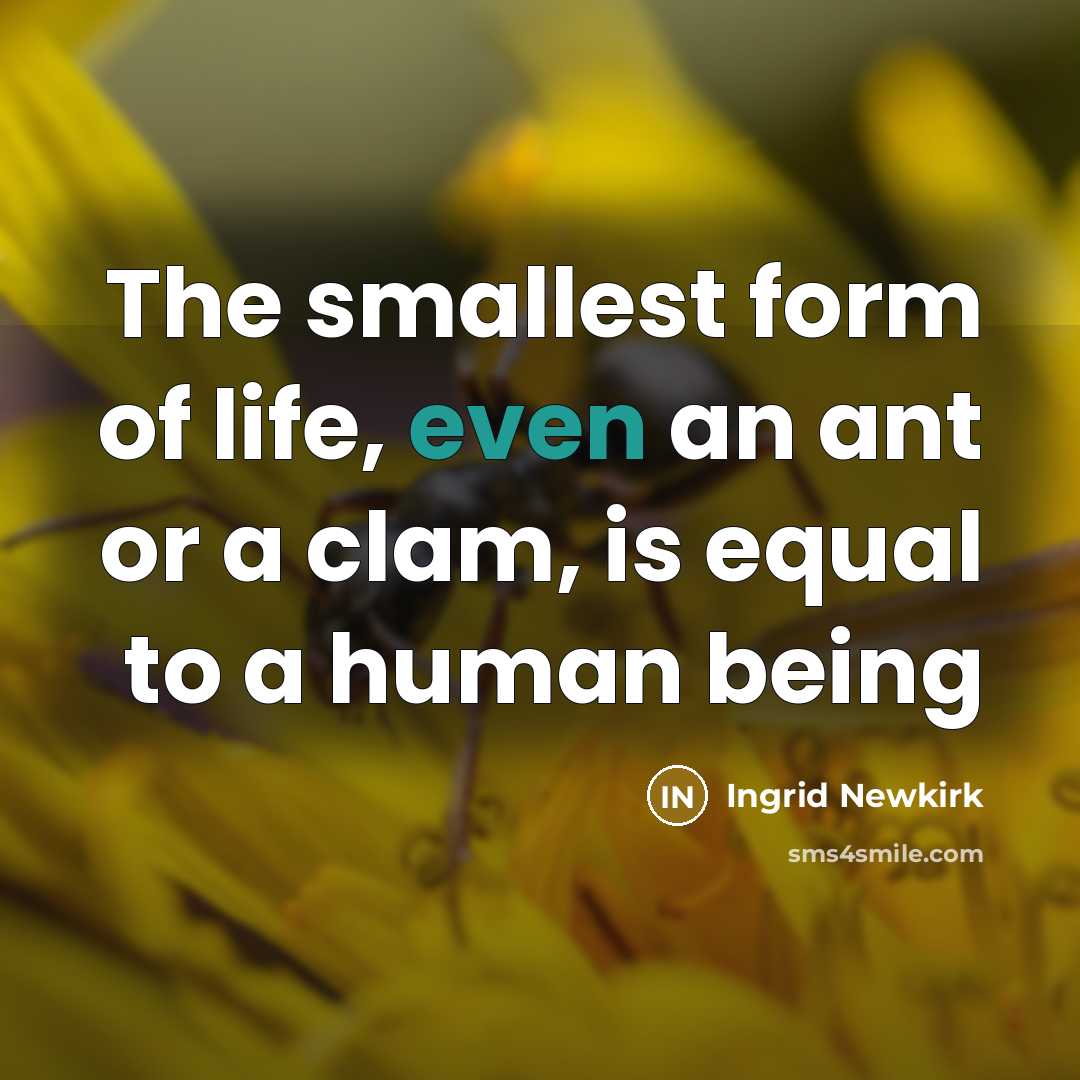 “The smallest form of life, even an ant or a…” quote by Ingrid Newkirk