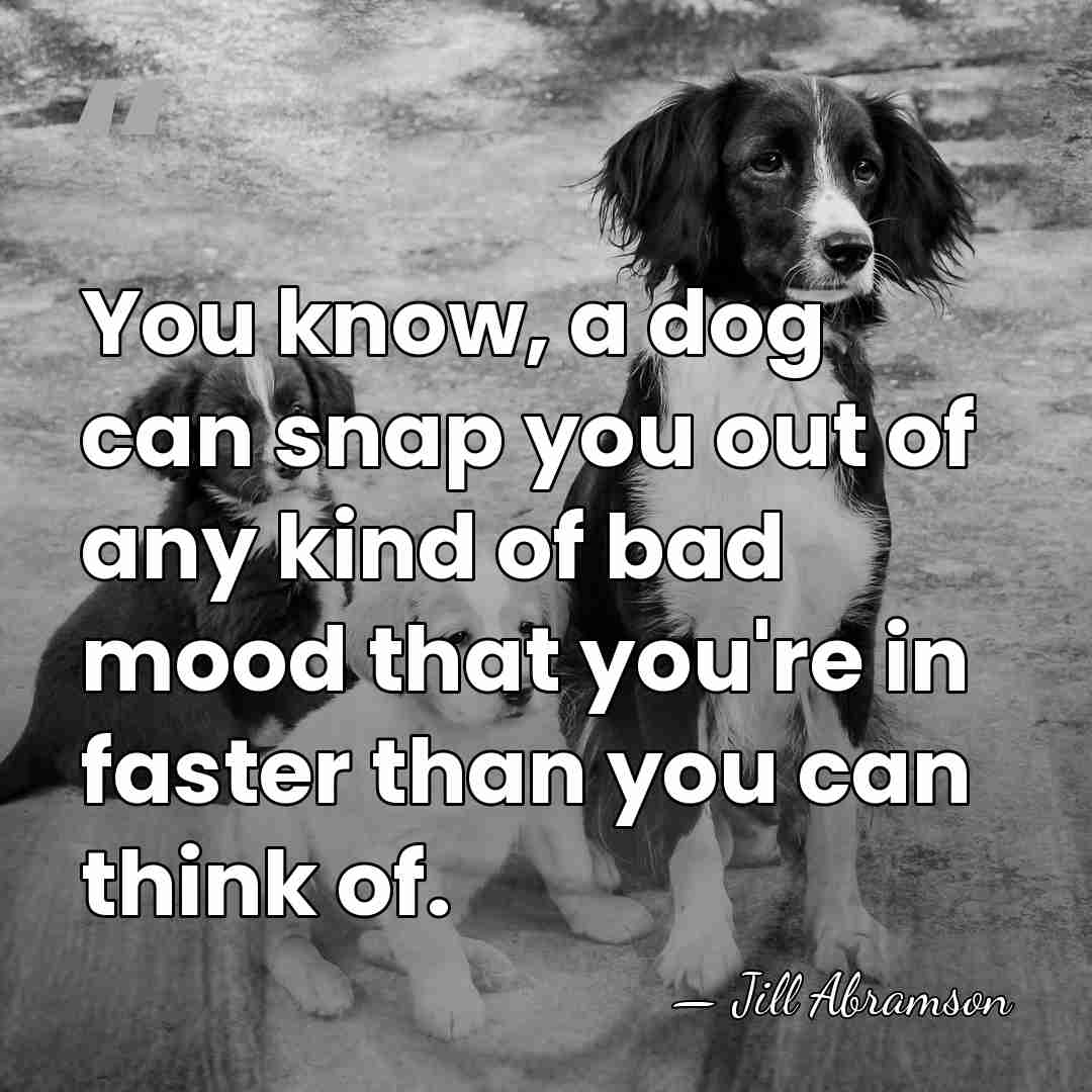 You know, a dog can snap you out of any kind of&hellip; - Jill Abramson