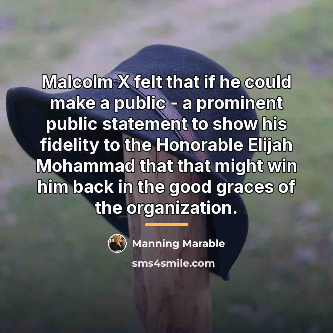 “Malcolm X felt that if he could make a public…” quote by Manning Marable