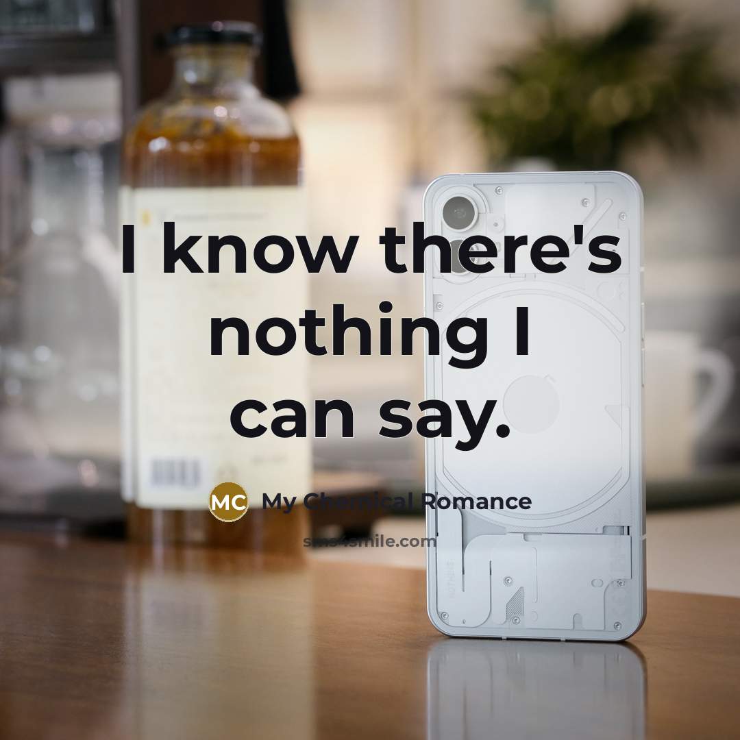 “I know there's nothing I can say.…” quote by My Chemical Romance