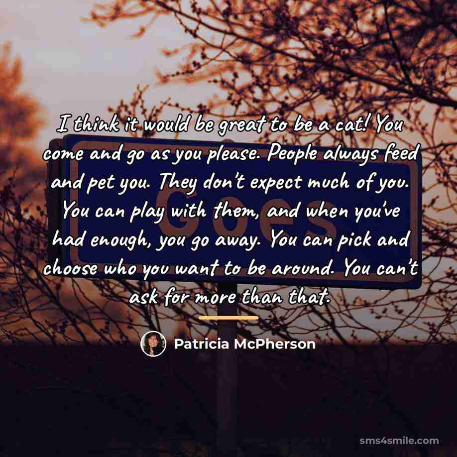 “I think it would be great to be a cat!…” quote by Patricia McPherson