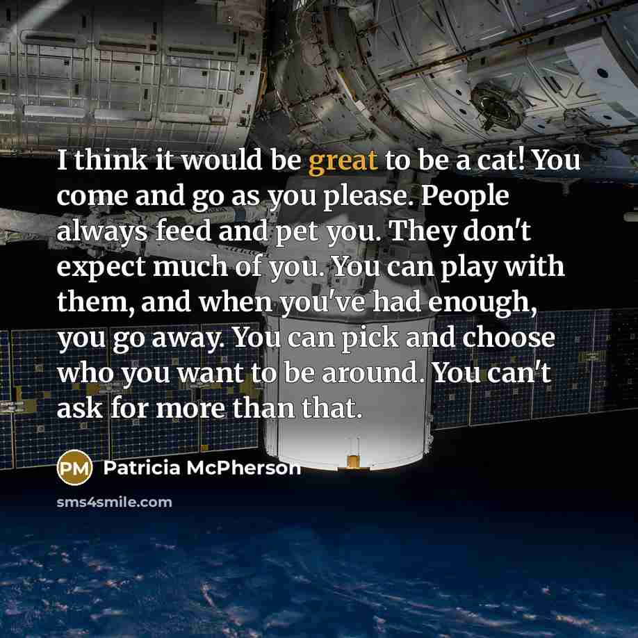 “I think it would be great to be a cat! You come and go as you please. People always feed and pet you. They don't expect much of you. You can play with them, and when you've had enough, you go away. You can pick and choose who you want to be around. You can't ask for more than that.” quote by Patricia McPherson