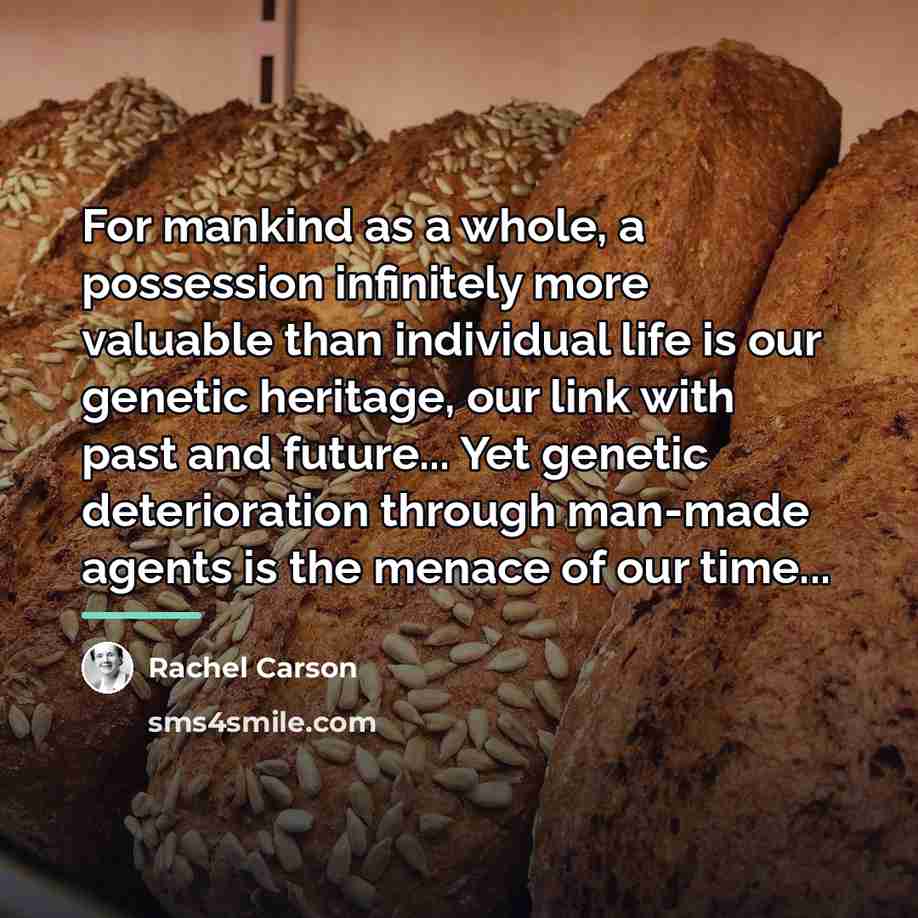 “For mankind as a whole, a possession infinitely more valuable…” quote by Rachel Carson