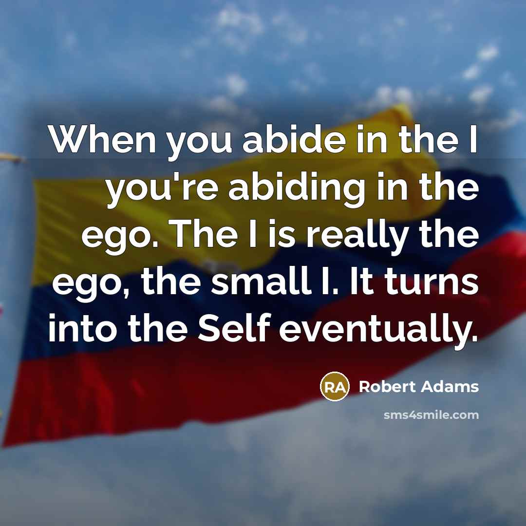 “When you abide in the I you're abiding in the…” quote by Robert Adams