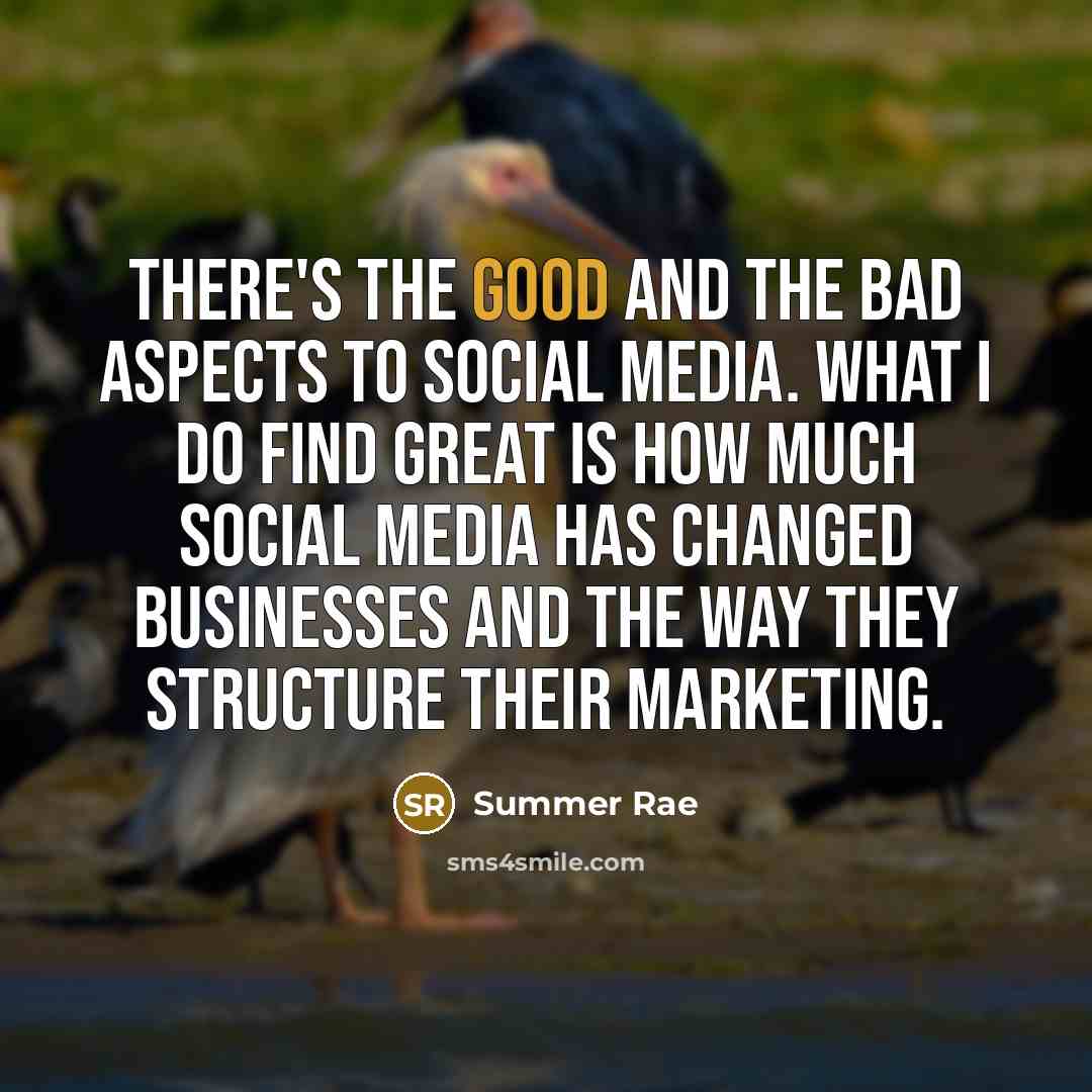 “There's the good and the bad aspects to Social Media.…” quote by Summer Rae