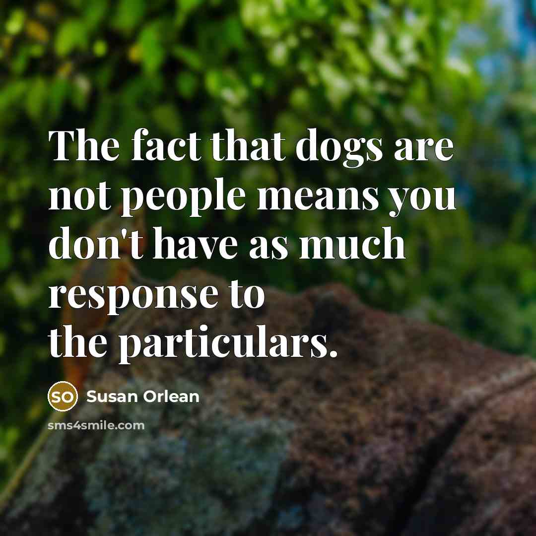 “The fact that dogs are not people means you don't have as much response to the particulars.” quote by Susan Orlean