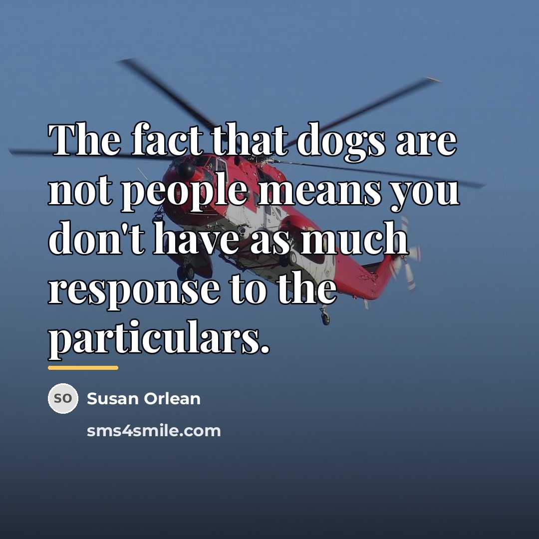 “The fact that dogs are not people means you don't…” quote by Susan Orlean
