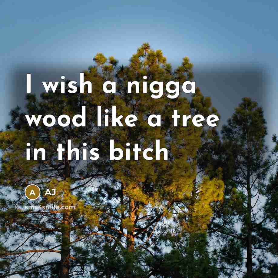 “I wish a nigga wood like a tree in this…” quote by Aj
